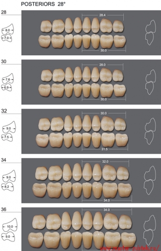 ���� KAIFENG - �����������, ���������, ����������� , 8 ����� -1 ������, 12 ������| HUGE DENTAL MATERIAL(�����)